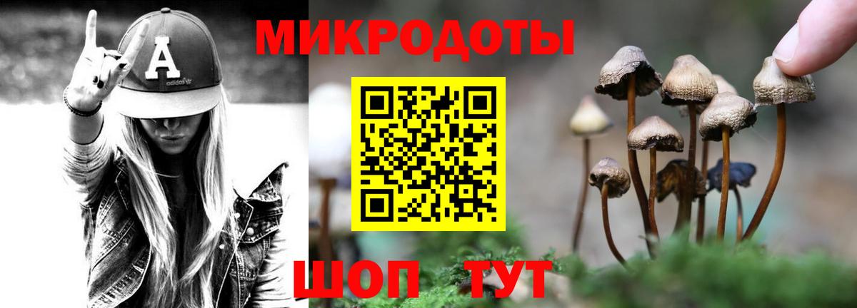 Галлюциногенные грибы MAGIC MUSHROOMS  Псилоцибиновые грибы Psilocybe  Вход с VPN  Звенигород 